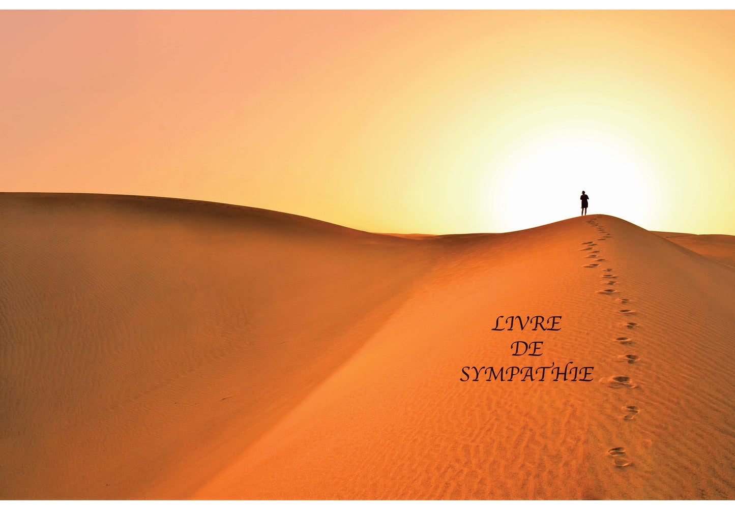 Ref: 12144 - Livre de sympathie "Dunes" 24 pages 320x240. Permet d'écrire 115 messages de sympathie