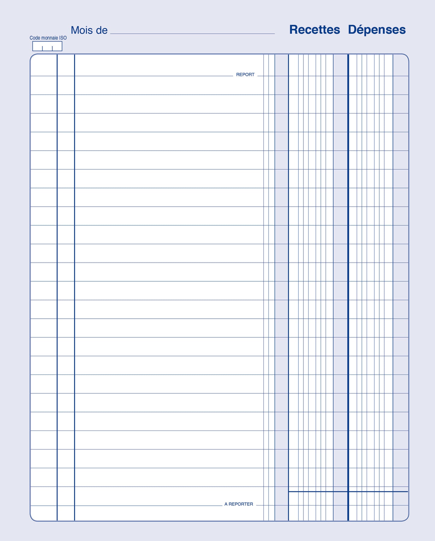 Piqure Recettes - Dépenses - Ref : 1329