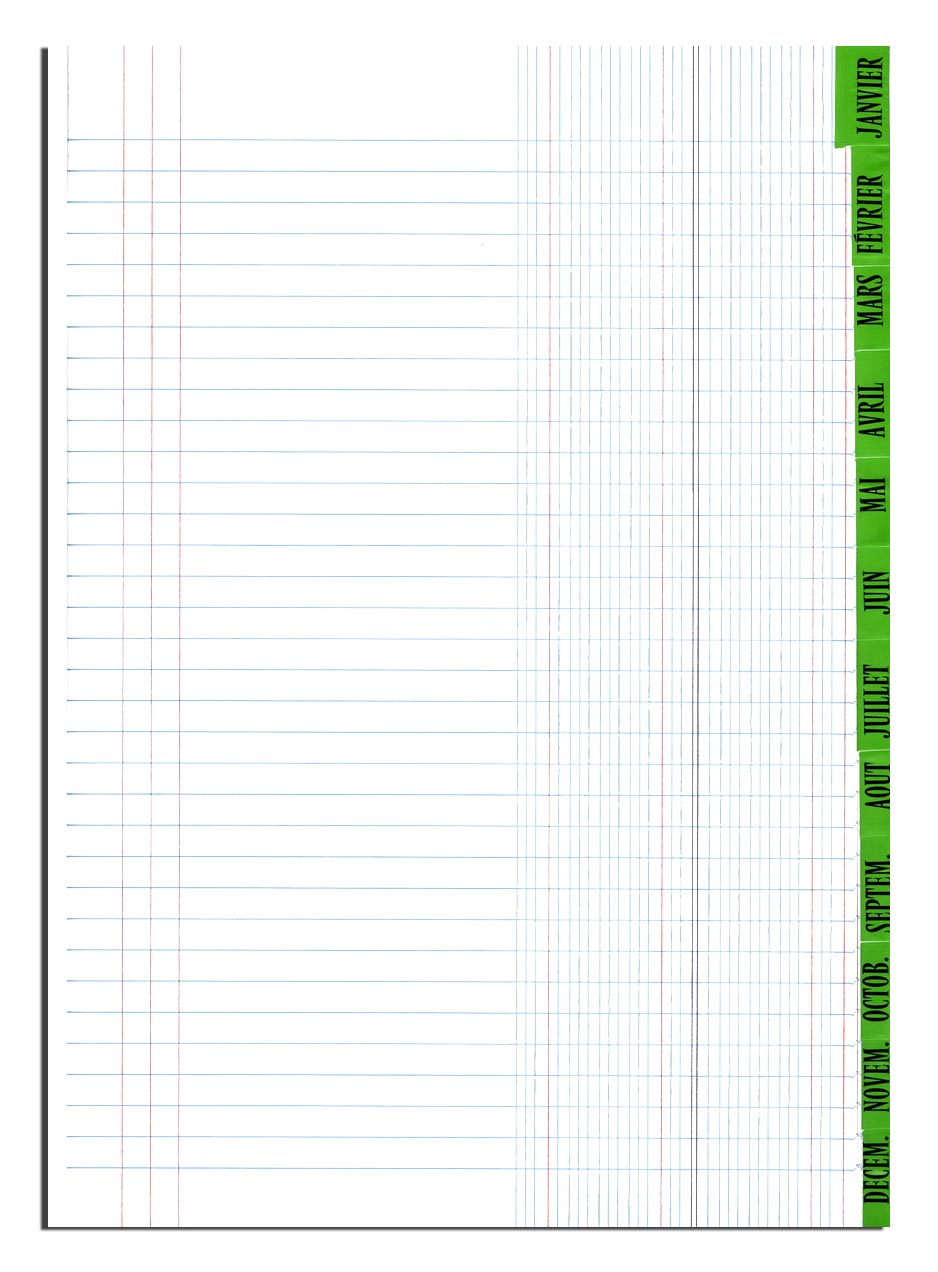 Piqûre standard journal - Ref: 41081