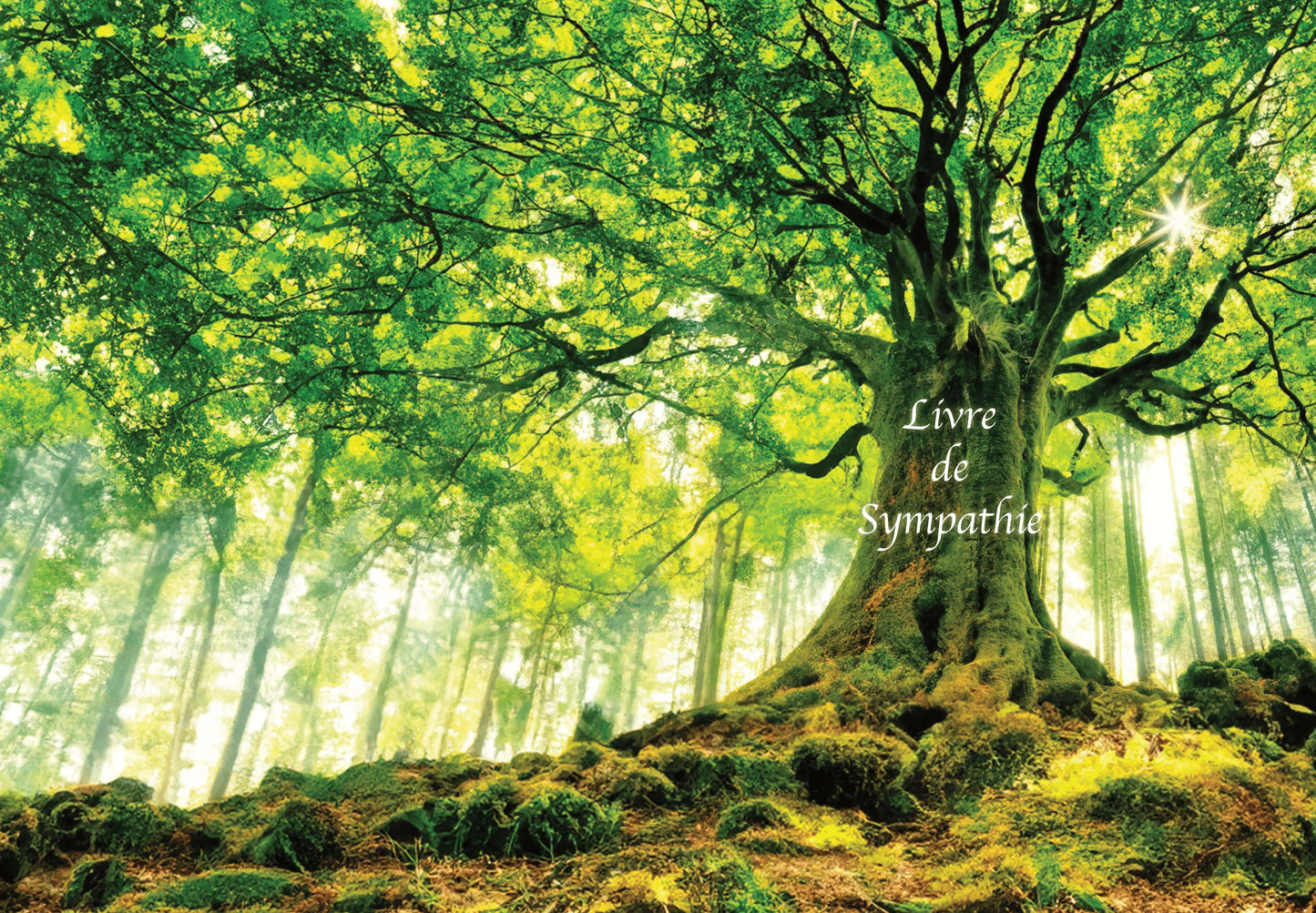 Livre de sympathie "Arbre"- Ref: 12197