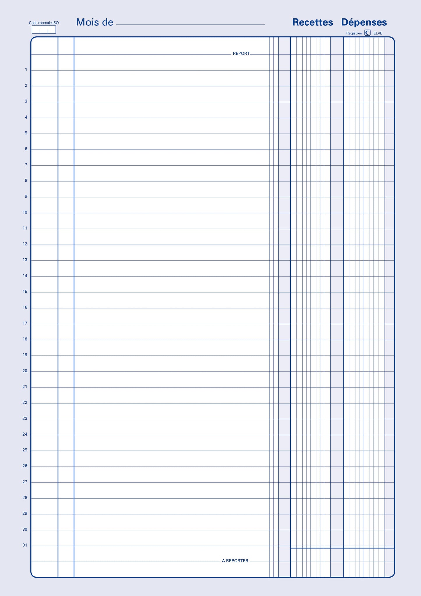 Piqûre recettes dépenses - Ref: 13271