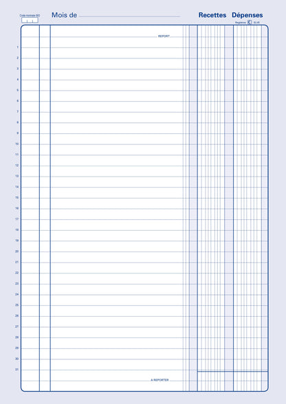 Piqûre recettes dépenses - Ref: 13271