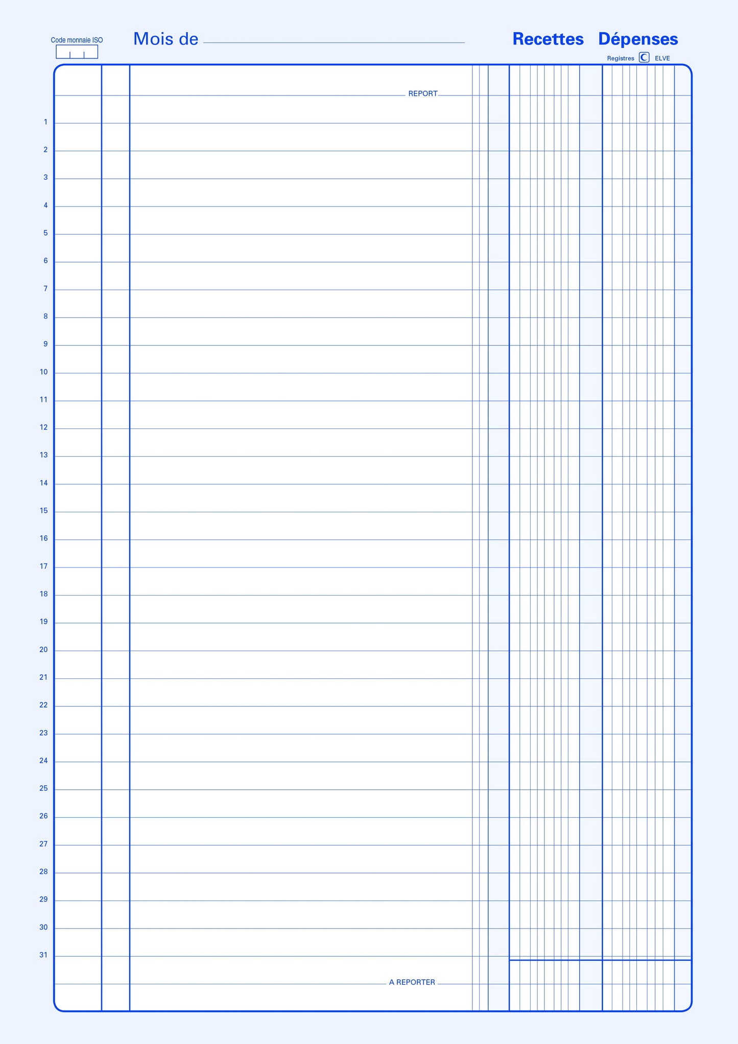 Piqûre recettes dépenses - Ref: 13271