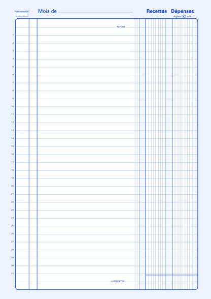 Piqûre recettes dépenses - Ref: 13271