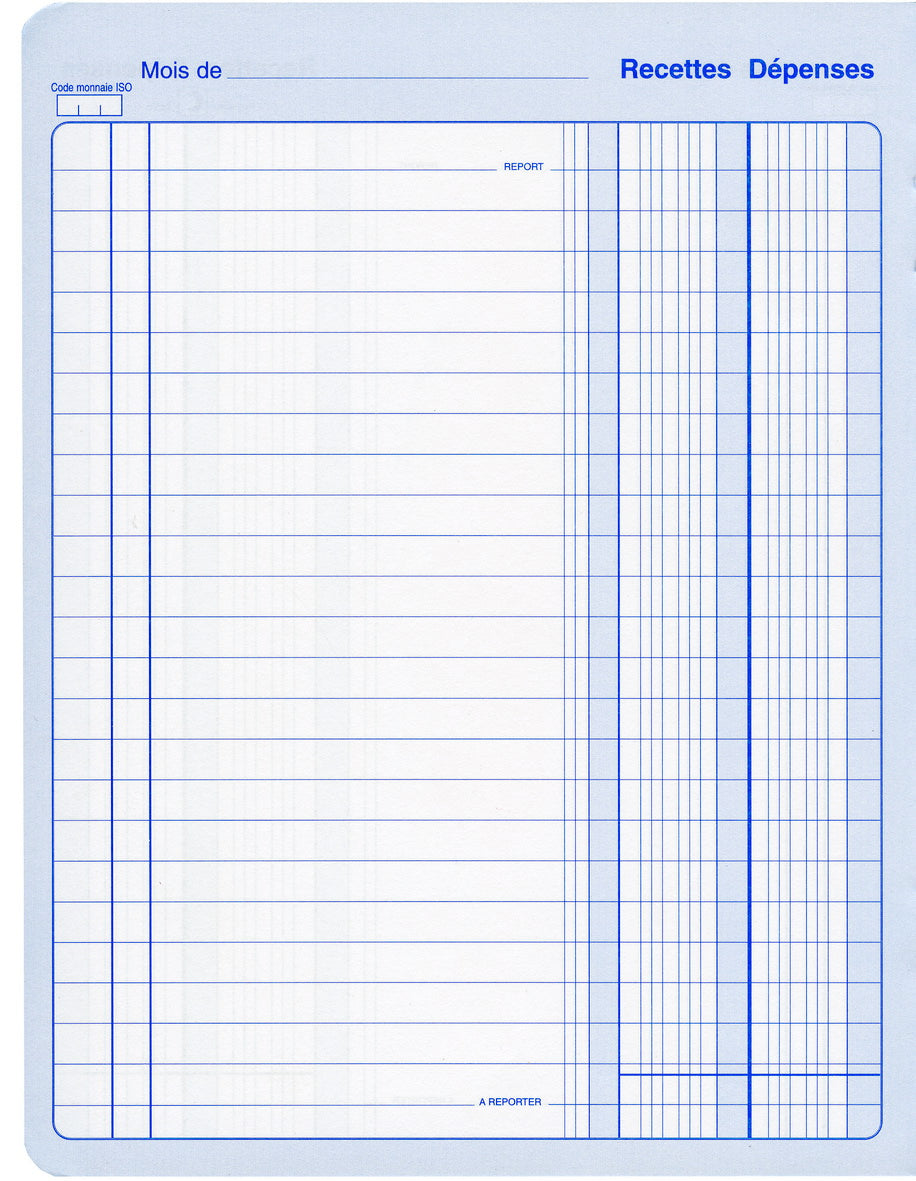 Piqûre recettes dépenses - Ref: 13271