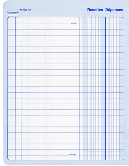 Piqûre recettes dépenses - Ref: 13271