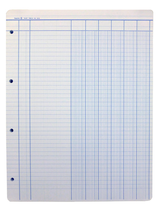 Recharge 100 feuillets - Ref: 13604