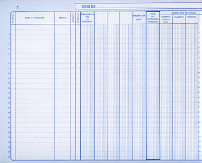 Livre de paye par mois - Ref : 1646