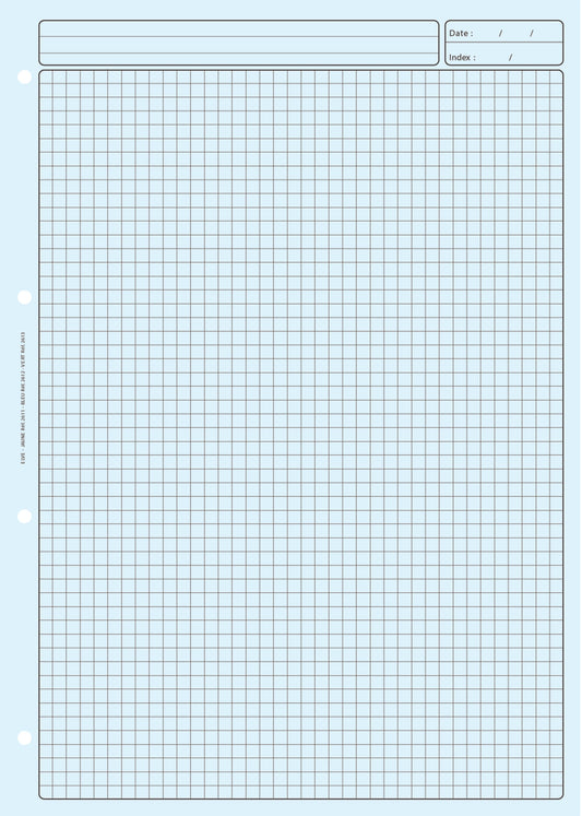 Ref: 2612 - Bloc d'écriture quadrillé 5x5 297x210 80 pages. Papier offset bleu