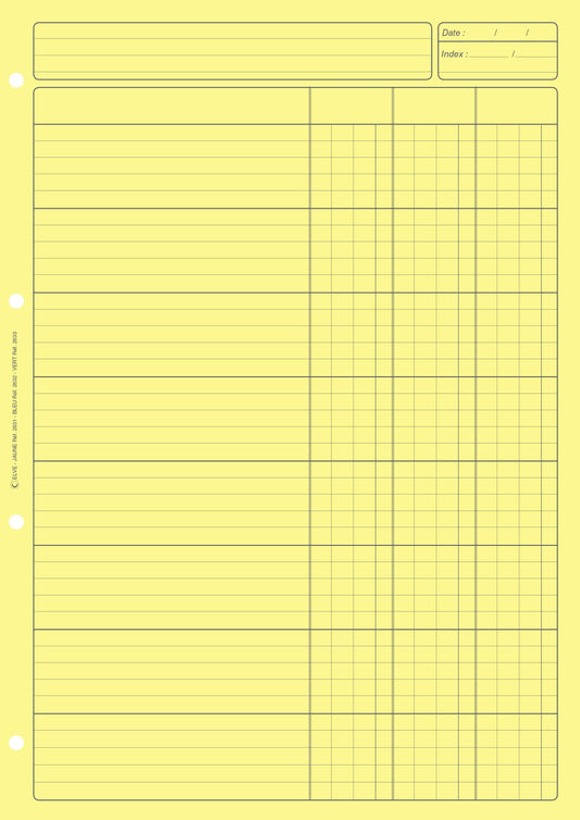 Ref: 2631 - Bloc Audit 3 colonnes 297x210 - 80 Pages. Papier offset jaune