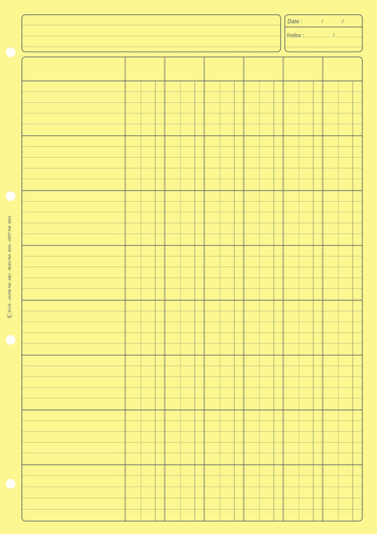 Ref: 2661 - Bloc Audit 6 colonnes - 297x210 - 80 Pages. Papier offset jaune