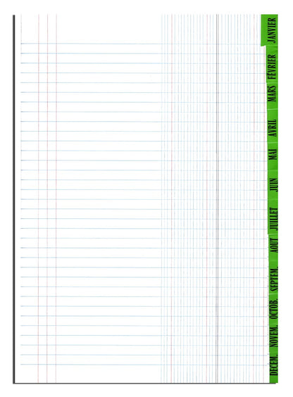 Piqûre standard journal - Ref: 41081