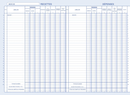 Ref: 97381 - Piqûre "Journal Recettes-dépenses pour professions libérales" - 270 x 370 - 80 pages