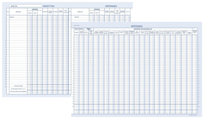 Ref: 97381 - Piqûre "Journal Recettes-dépenses pour professions libérales" - 270 x 370 - 80 pages