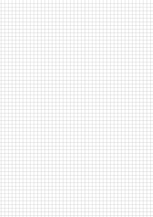 Registre quadrillé 5*5 - vendu par 2 - Ref: A4300